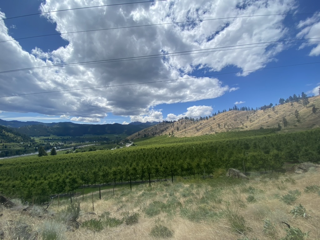 Image Slider